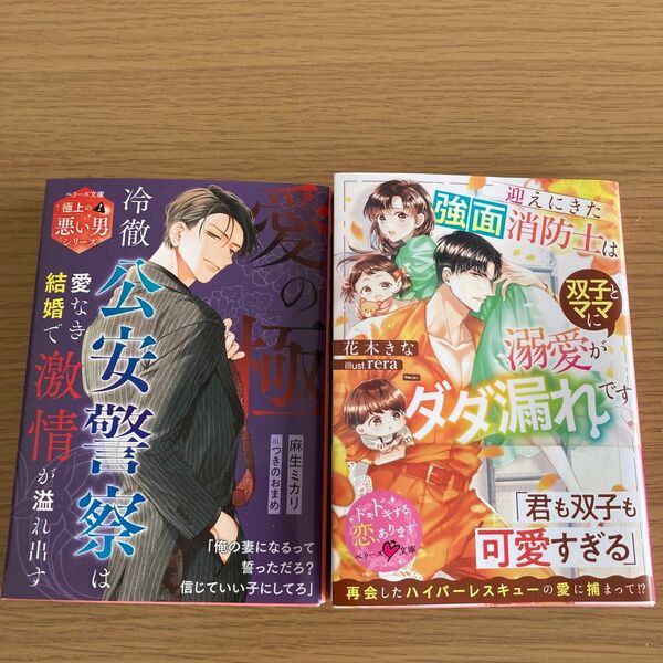 愛の極 冷徹公安警察は愛なき結婚で激情が溢れ出す (ベリーズ文庫 あ2-3 極上の悪い男シリーズ) 麻生ミカリ/著