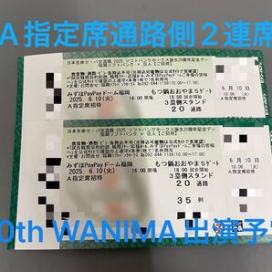 2025年6月10日(火) ソフトバンクホークス VS 巨人 A指定席35列目 通路側から2連席 2枚