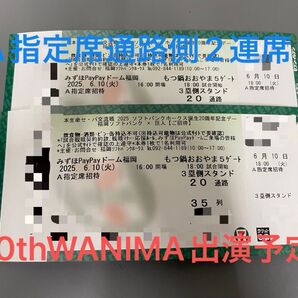 2025年6月10日(火) ソフトバンクホークス VS 巨人 A指定席35列目 通路側から2連席 2枚