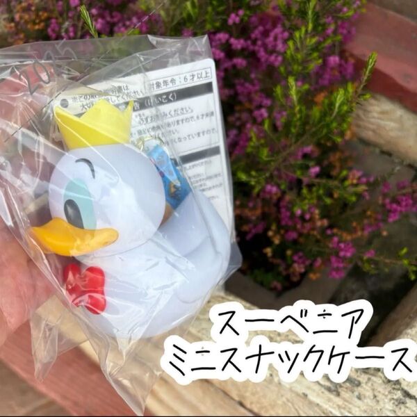 ディズニー 2025 パルパルーザ ドナルドのクワッキー・ダック!ダック!ダックシティ! スーベニア ミニスナックケース