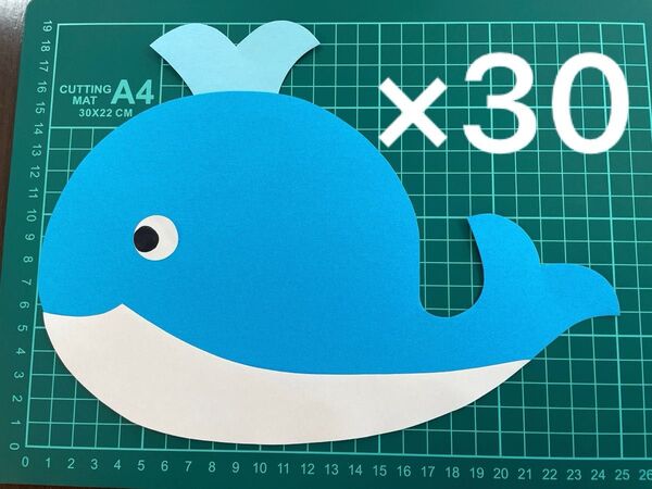 くじら A4 画用紙 壁面製作 装飾 飾り 製作キット 保育園 7月 8月 夏 保育園