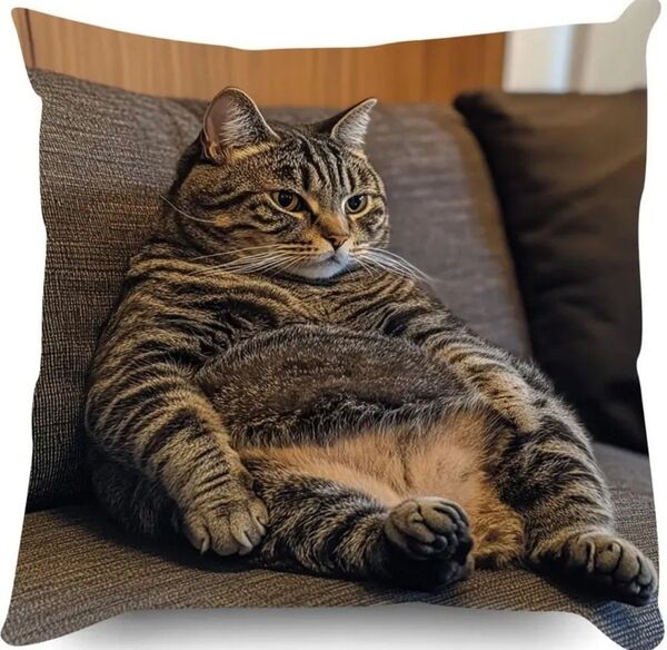 クッションカバー 猫 おっさん座り おデブ猫