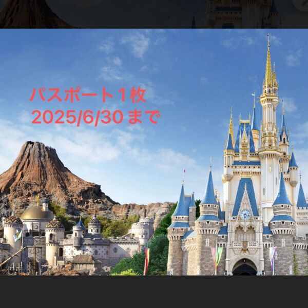 ディズニーパスポート1枚 2025/6/30まで