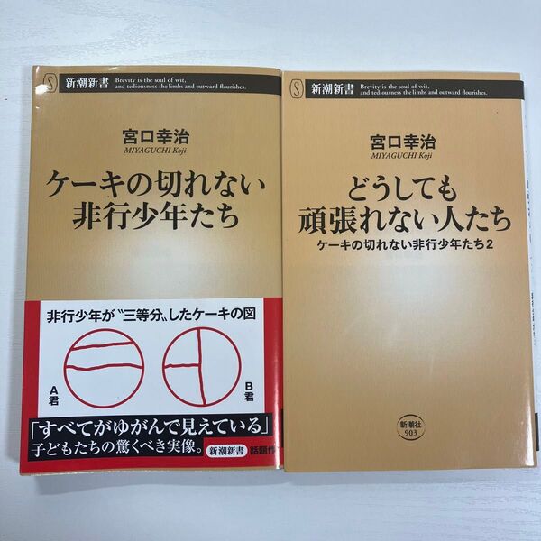 ケーキの切れない非行少年たち・どうしても頑張れない人たち セット 宮口幸治