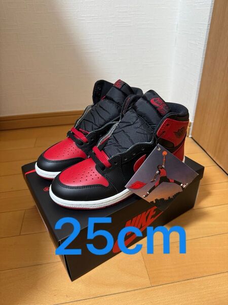 Nike Air Jordan 1 High 85 Bred 2025 エアジョーダン1 ナイキ