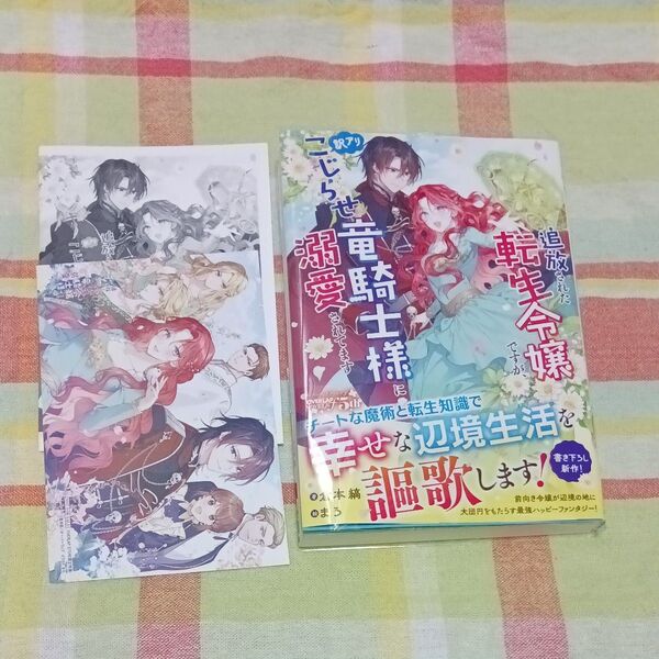 追放された転生令嬢ですが、訳アリこじらせ竜騎士様に溺愛されてます (OVERLAP NOVELS f) 倉本縞/著