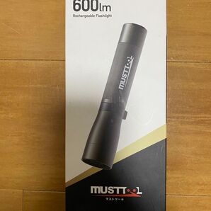 600LM 充電式LEDライト マストツール イチネンアクセス MFL-601R 新品
