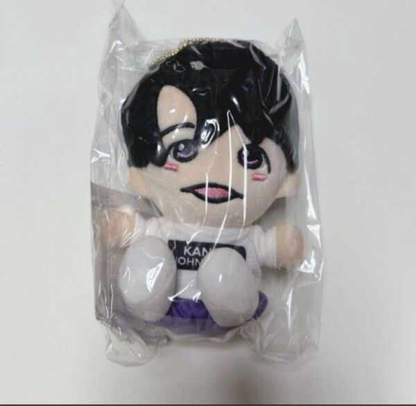 大西風雅 ちびぬい ぬいぐるみ Lilかんさい 関ジュ 関西ジャニーズJr. あけおめコンサート2021 関ジュがギューっと大集合