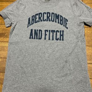 Abercrombie and Fitch Tシャツ グレー Sサイズ