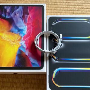 Apple iPhone lightning USB ケーブル アップル 純正品 ライトニング