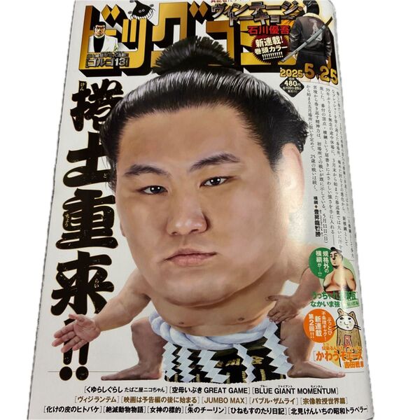 ビッグコミック 2025年5月25日号 (小学館)