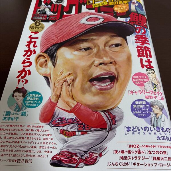 【最新刊】ビッグコミック増刊号 ビッグコミック増刊 2025年6月号 (小学館)