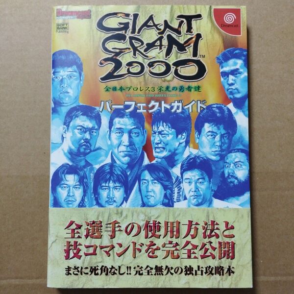 DC攻略本 ジャイアントグラム2000 全日本プロレス3 パーフェクトガイド