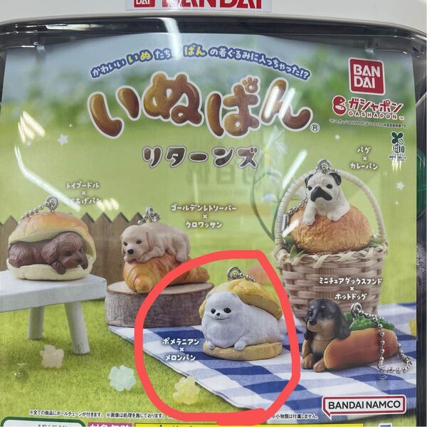 いぬぱんリターンズ ポメラニアン×メロンパン ガチャポン