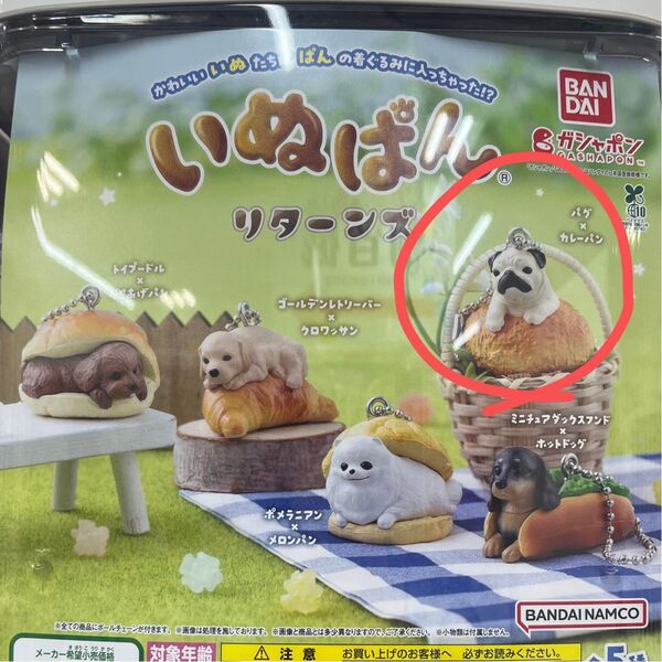 いぬぱんリターンズ パグ×カレーパン ガチャ