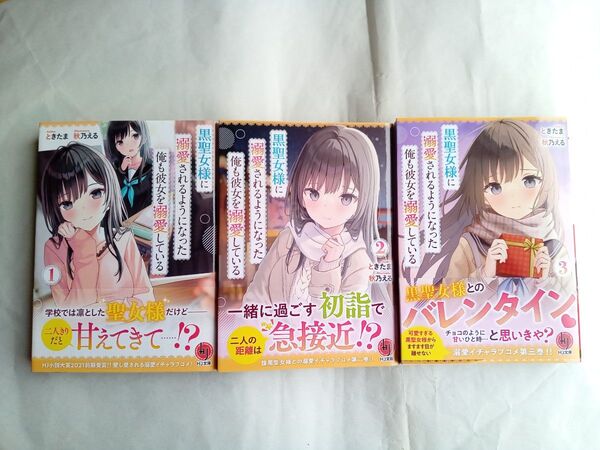 黒聖女様に溺愛されるようになった俺も彼女を溺愛している