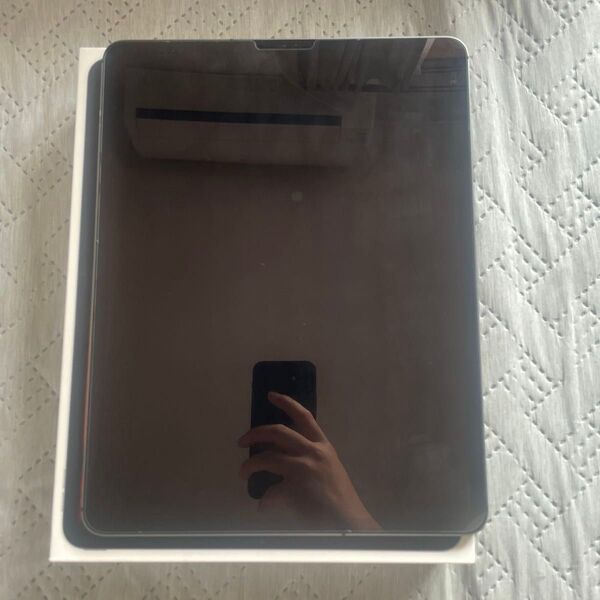 Apple iPad Pro 12.5 第4世代スペースグレー 本体