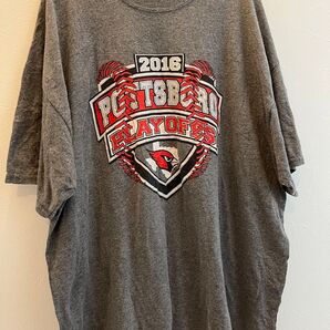 大特価セール US古着 ギルダン tシャツ ビッグサイズ メンズtシャツ 半袖 ゆるダボtシャツ ユニセックス品