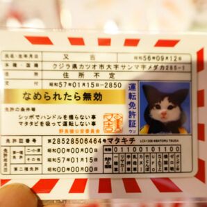 免許証風カード ジョークグッズ