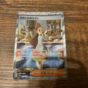 ミカンのまなざし SAR