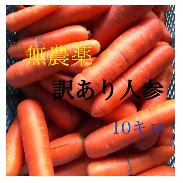 無農薬訳あり人参10キロ