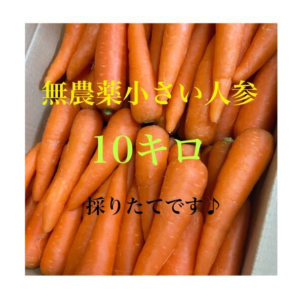 無農薬小さい人参10キロ