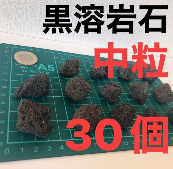 黒溶岩石 中粒30個 アクアリウム テラリウム コゲリウム 水草 ろ材 ADA