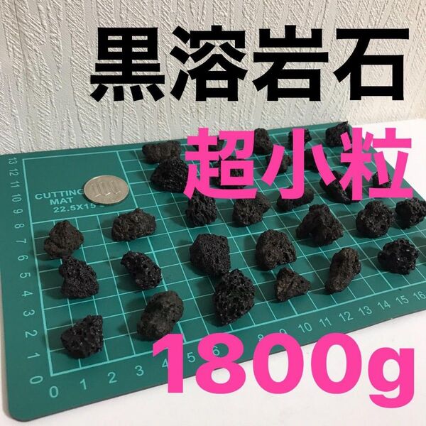 黒溶岩石 超小粒 1800g アクアリウム テラリウム コゲリウム 水草