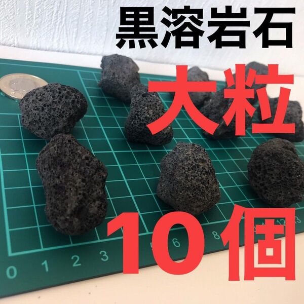 黒溶岩石 大粒10個 アクアリウム テラリウム コゲリウム ろ材 水草 ADA