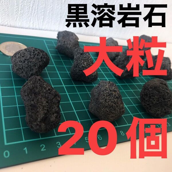 黒溶岩石 大粒20個 アクアリウム テラリウム コゲリウム ろ材 水草 ADA