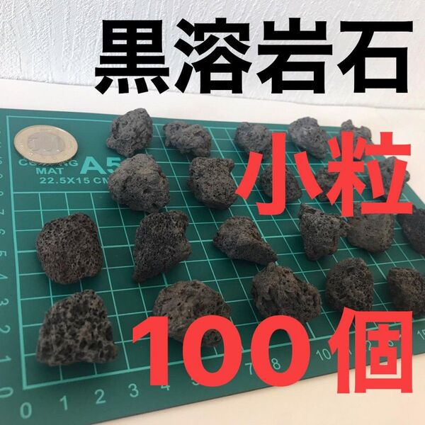黒溶岩石 小粒100個 アクアリウム テラリウム コゲリウム 水草 ADA
