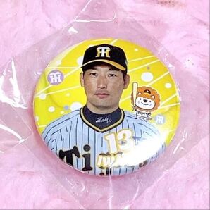 阪神タイガース 甲子園 缶バッジ シークレット ぼんち揚 第二弾 岩崎優