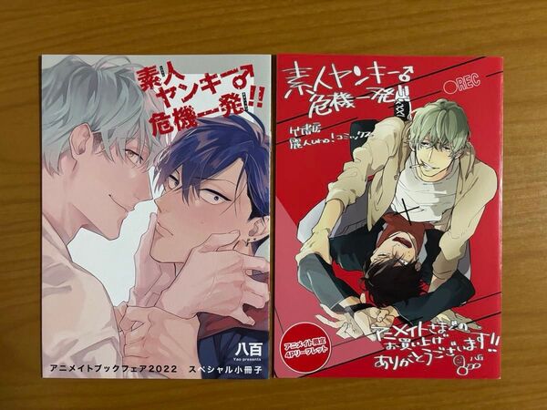 BLコミック 八百 素人ヤンキー♂危機一発!! 特典 リーフレット 小冊子 アニメイト