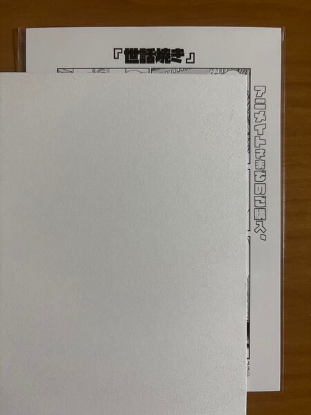 BLコミック 日乃チハヤ フェアプレイ・フェアラバー 特典ペーパー