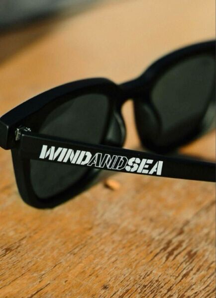新品 ★限定 GAN CRAFT × WDS 偏光サングラス