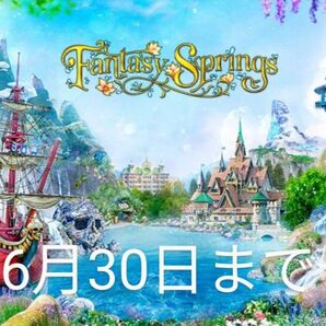 ディズニーチケット2枚セット