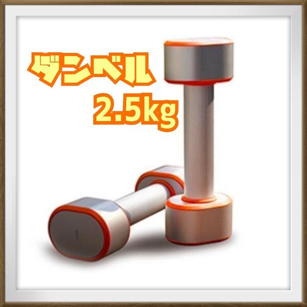 新品 未使用 ダンベル 2.5kg 小型 筋トレ コンパクト ウエイト エクササイズ