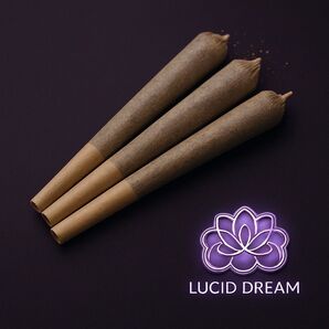 LUCID DREAM ロータス ミックスハーブロール 3 本
