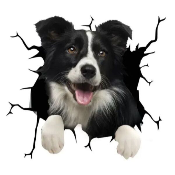 ボーダーコリー 犬 カーステッカー 車用 ウォールステッカー 自動車 シール 可愛い 3D おもしろ ユニーク 車外アクセサリー