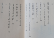 芹沢俊介　詩的体験の拡大　芹澤出版昭53第１刷　芥川龍之介宮沢賢治鮎川信夫秋山清清水昶中村稔島尾敏雄中上健次秋山駿ほかj_画像7