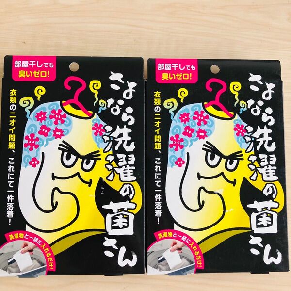 イースマイル さよなら洗濯の菌さん 2個 洗濯物 衣類 消臭 除菌 防臭 臭い ニオイ 生乾き臭 対策