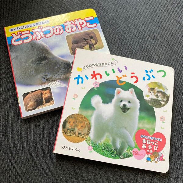 2冊セット かわいいどうぶつ はじめての写真ずかん ひかりのくに わくわくしゃしんえほん どうぶつのおやこ 動物 本 猫 犬