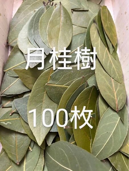 月桂樹 ローリエ ハーブ スパイス 野菜