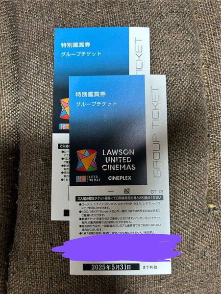 【6月まで使えるクーポン付】ユナイテッドシネマ 映画鑑賞券 一般2枚