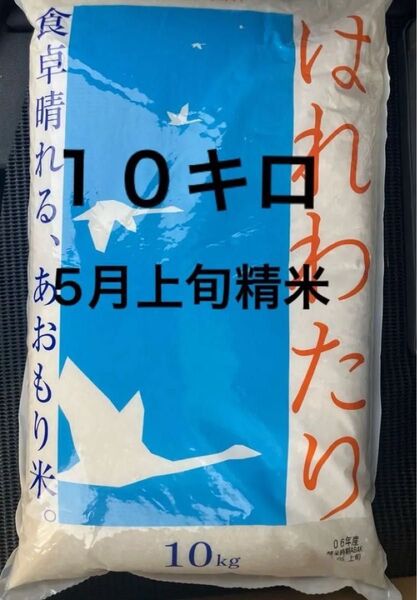 はれわたり 青森県産 青森米 あおもり米 10kg 5月上旬精米