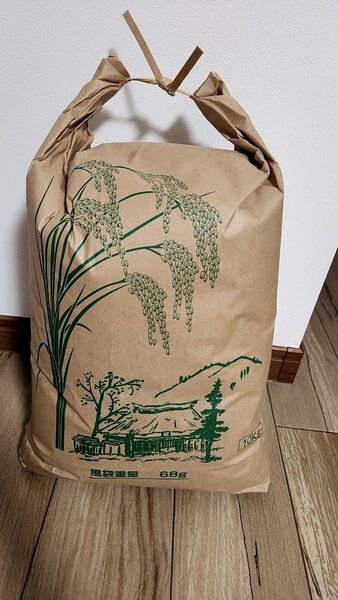 令和6年産 広島県産 コシヒカリ 11キロ 玄米