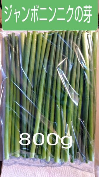 ジャンボニンニクの芽 完熟牛糞堆肥栽培 800g 常温発送