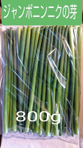 ジャンボニンニクの芽 完熟牛糞堆肥栽培 800g 常温発送