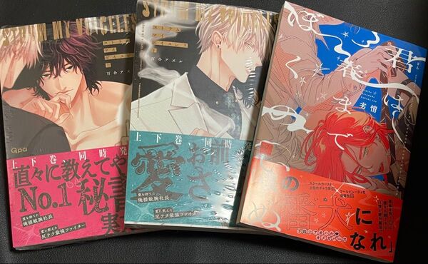 新刊BLコミック3冊セット 君は春までぼくのいぬ ストラムマイボイスレス