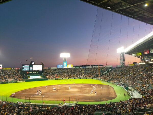 6月6日 18:00〜 甲子園球場 阪神タイガース対オリックス 一塁アルプス 1枚
